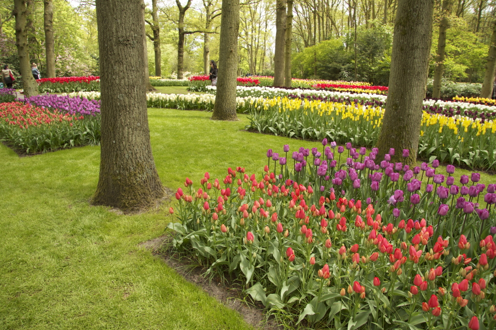 Keukenhof in May | BCRobyn